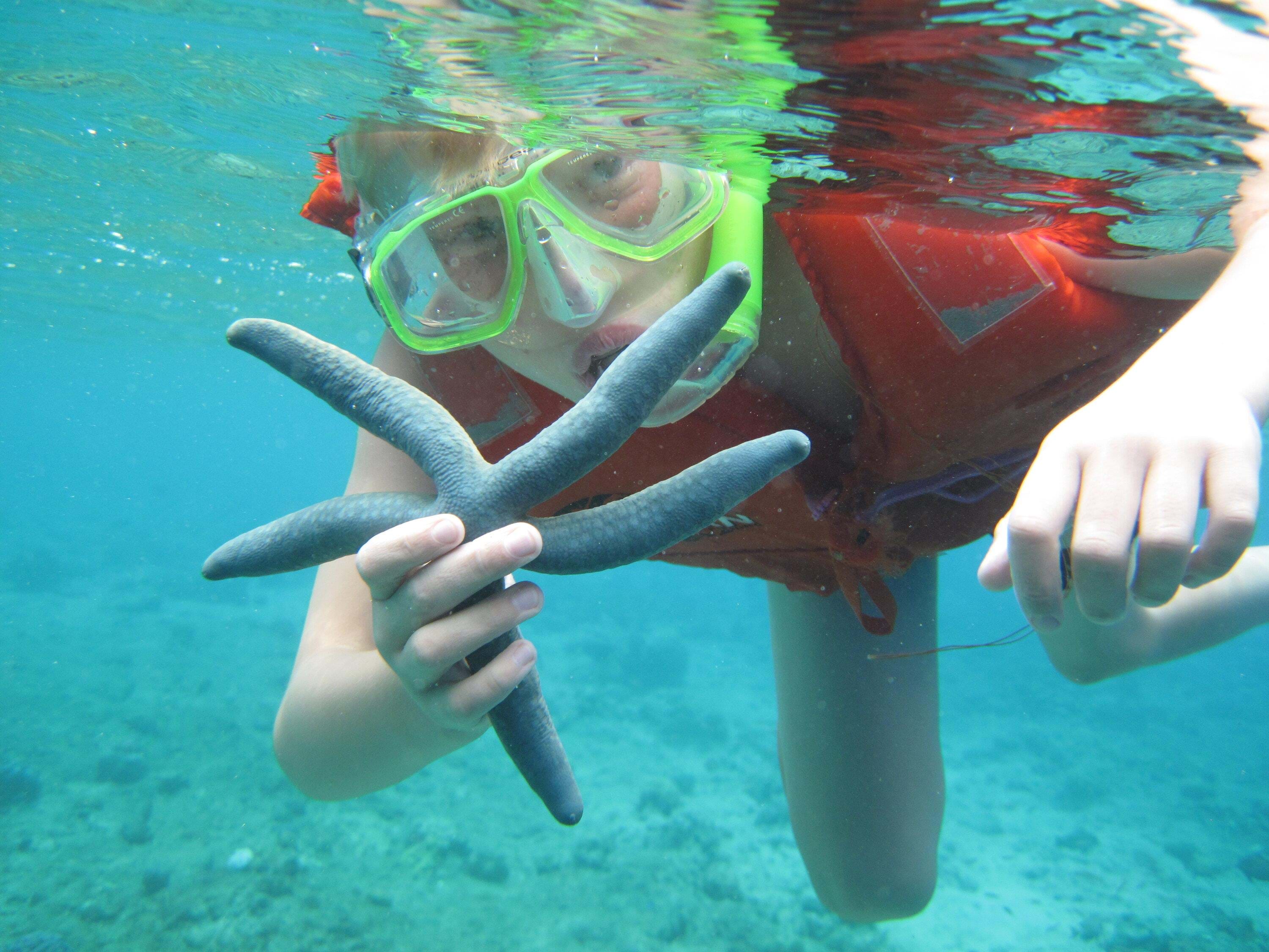 Bali_Dykning_Banyuwedang_Bay_2010 (13).JPG