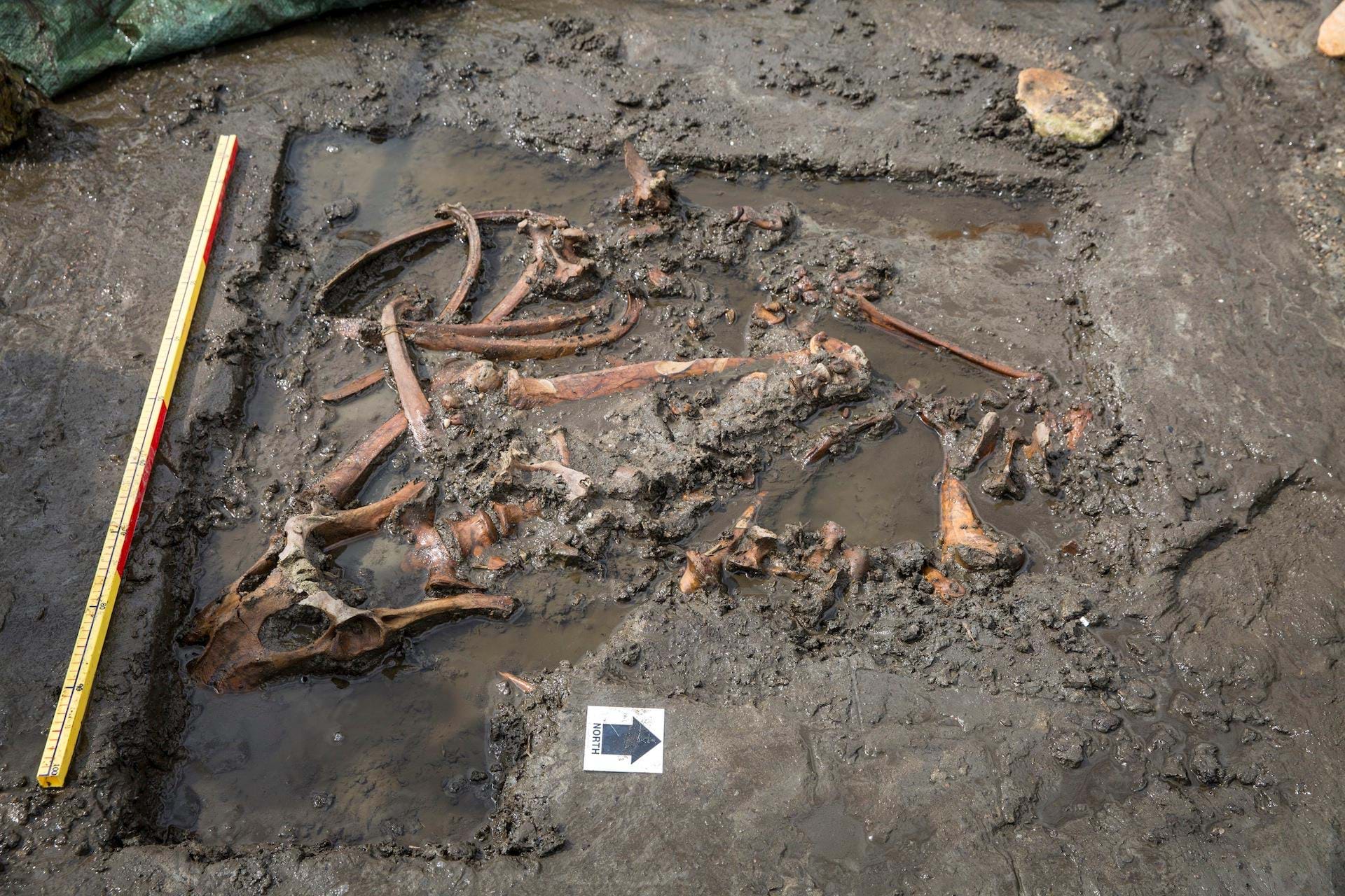 10 ting rønbjerg_2018_fotp_Rasmuis Schø'nning-9.jpg