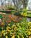 18-4_Flodkryds_Amsterdam_Keukenhof_mv_2018_Foto_Lasse_Loendahl_Henriksen-42.jpg