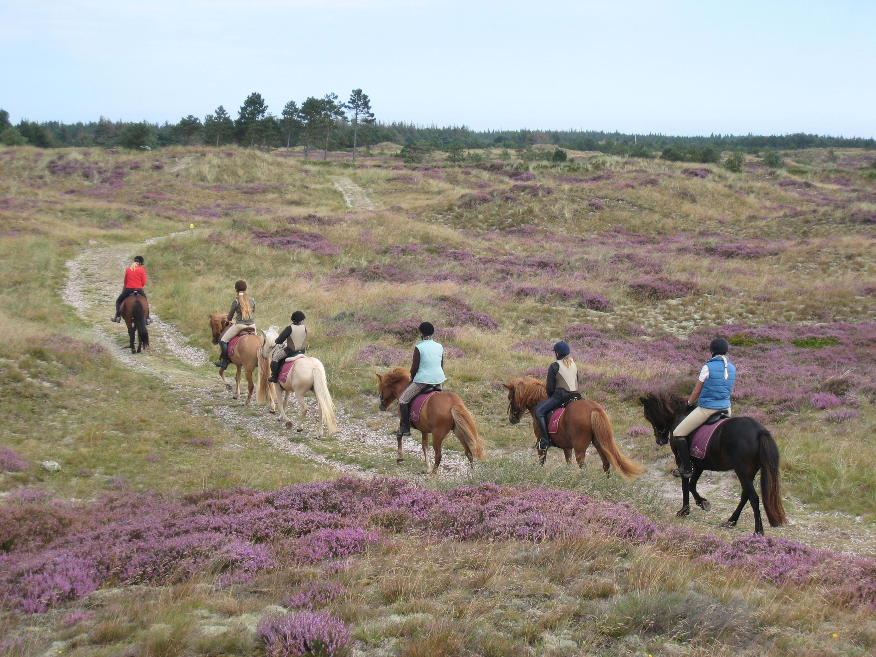 Ridning i Blåvand