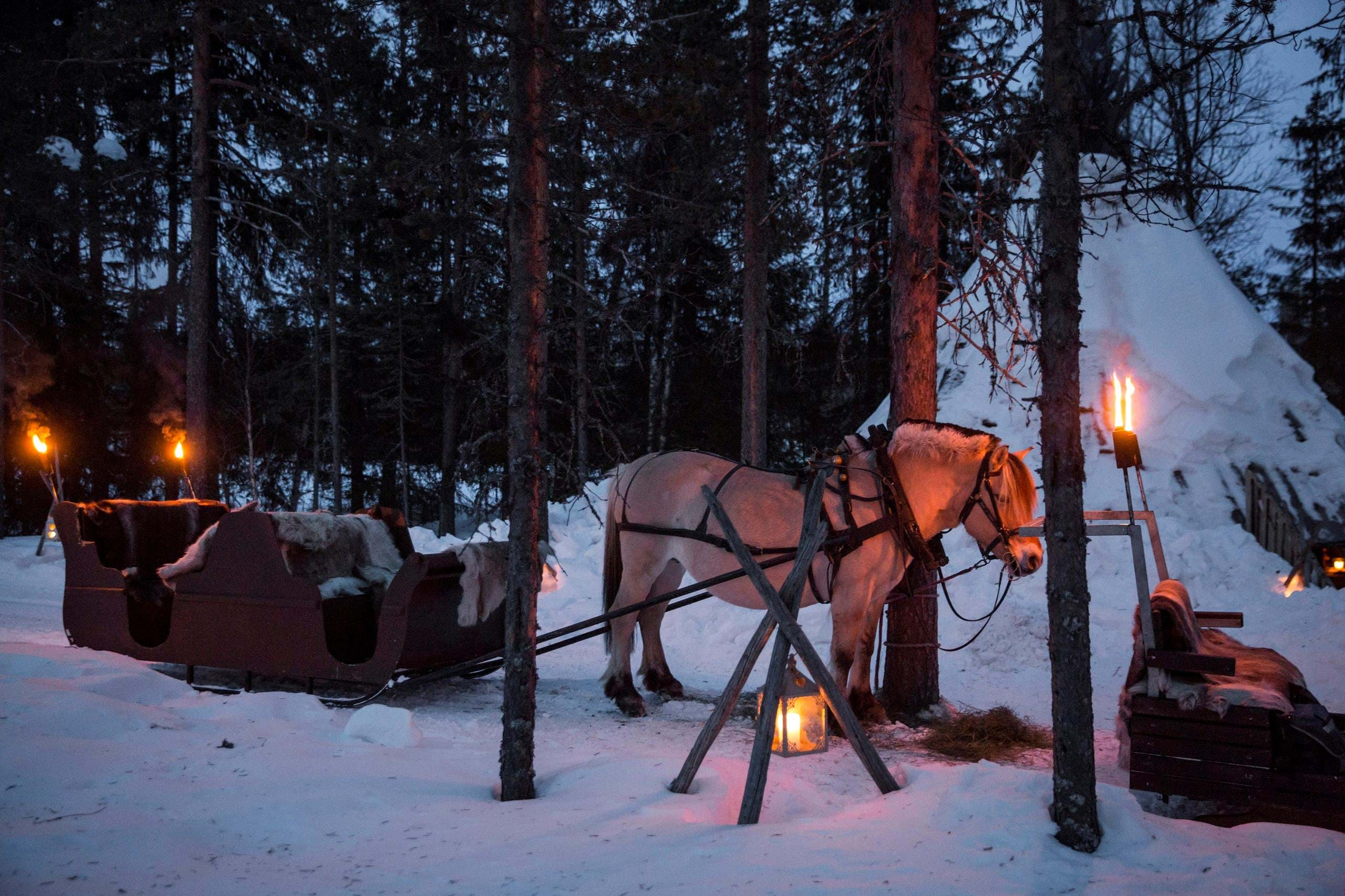 Trysil hestecenter