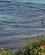 24-6-18_Blushoej_lowres_2018_Foto_Rasmus_Schoenning-5.jpg