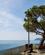 Cinque_Terre_lowres19-7_2018_Foto_Rasmus_Schoenning-89.jpg