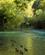 15-10-16_Vipava_by_foto_Lasse_Loendahl_Henriksen-11 web.jpg