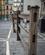 Spanien_Riis_Pamplona_lowres_2018_foto_Rasmus_Schoenning-7.jpg