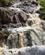 Halland_Danska_Falls_mv_fullres_29-5_2019_foto_Lasse_Loendahl_Henriksen-28 web.jpg