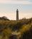 Nordjylland Skagen Havn 2020 Foto Rasmus Schoenning Anne Vibeke Rejser (3)