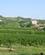 42 Vinmarker I Collio Friuli Anne Vibeke Rejser IMG 6683
