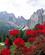 50 Val De Vaiolet Dolomitterne Anne Vibeke Rejser IMG 1099
