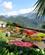 73A Haven Ved Villa Rufolo Amalfi Anne Vibeke Rejser IMG 5742