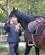 102 Rideguiden Gør Hestene Klar Mugello Anne Vibeke Rejser PICT0012
