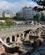 641 Ruiner I Forum Thessaloniki Anne Vibeke Rejser IMG 2378