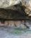 408 Klippehule I Rusenski Natur Park Ivanovo Bulgarien Anne Vibeke Rejser IMG 1347