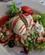 122 Salat Bordeaux Anne Vibeke Rejser IMG 1034
