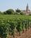 610 Ankomst Til Saint Emilion Bordeaux Anne Vibeke Rejser IMG 0997