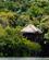 315 Hytte På Pæle Juma Lodge Amazon Brasilien Anne Vibeke Rejser DSC08468