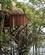 319 Trækonstruktion Juma Amazon Lodge Amazonas Brasilien Anne Vibeke Rejser IMG 7798