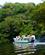 410 Mod Vandretur I Regnskoven Amazonas Brasilien Anne Vibeke Rejser DSC08543