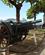 1714 Kanoner Rio Brasilien Anne Vibeke Rejser IMG 8134