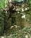 1154 Ruin Palenque Mexico Anne Vibeke Rejser IMG 4532