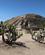 2024 Høj III På Sydplatform Monte Alban Mexico Anne Vibeke Rejser IMG 4825