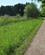 514 Afvekslende Natur Vestskoven Anne Vibeke Rejser IMG 0315