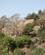 524 Castello De Gibralfaro Malaga Andalusien Spanien Anne Vibeke Rejser IMG 3261