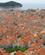 94H Dubrovnik Med De Røde Tage Dubrovnik Kroatien Anne Vibeke Rejser IMG 8686
