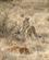 22B Geparder Ved Bytte Samburu Kenya Anne Vibeke Rejser PICT0077