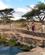 29B Kilden I Buffalo Springs Kenya Anne Vibeke Rejser PICT0086