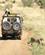 44D Geparden Krydser Vejen Og Forsvinder På Savannen Masai Mare Kenya Anne Vibeke Rejser PICT0356