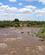 45A Mare Floden Masai Mare Kenya Anne Vibeke Rejser PICT00281