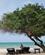 100 Stranden Ved Jacaranda Diani Beach Kenya Anne Vibeke Rejser IMG 3457