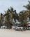 114 Ved Stranden Diani Beach Kenya Anne Vibeke Rejser IMG 3442