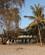 144 Kongo Moskéen Diani Beach Kenya Anne Vibeke Rejser IMG 3916