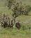 216 Trappe Tsavo Øst National Park Kenya Anne Vibeke Rejser DSC09546