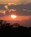 255 Solnedgang På Savannen Tsavo Øst National Park Kenya Anne Vibeke Rejser IMG 3550
