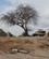 289 Bilen Kan Forlades Ved Athifloden Tsavo Øst National Park Kenya Anne Vibeke Rejser IMG 3567