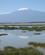 354 Det Store Vådområde I Amboseli National Park Kenya Anne Vibeke Rejser IMG 3624