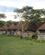 508 Huse Udformet Som Afrikanske Hytter Naivashasøen Kenya Anne Vibeke Rejser IMG 3754