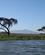 540 Rundt Om Crescent Island Naivashasøen Kenya Anne Vibeke Rejser IMG 3779