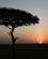 680 Solopgang Over Masai Mare Kenya Anne Vibeke Rejser IMG 3849