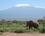 399 Vi Forlader Amboseli Amboseli National Park Kenya Anne Vibeke Rejser IMG 3672