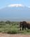 399 Vi Forlader Amboseli Amboseli National Park Kenya Anne Vibeke Rejser IMG 3672