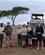 268 Picnic Tarangire Tanzania Anne Vibeke Rejser IMG 7221