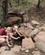 431 Hot Springs Lake Manyara Tanzania Anne Vibeke Rejser IMG 7273