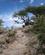 504 Op På Naabi Hill Serengeti Tanzania Anne Vibeke Rejser IMG 7356