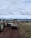 912 Kø Ved Melding Om Næsehornd Ngorongoro Tanzania Anne Vibeke Rejser IMG 7507