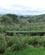 1100 Gribbs Farmd Ngorongoro Tanzania Anne Vibeke Rejser IMG 7586