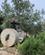 1000 Karpas Olive Oil And Flour Mill Karpas Cypern Anne Vibeke Rejser IMG 5155